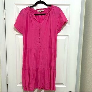 Loft Pink Button-Down Dress